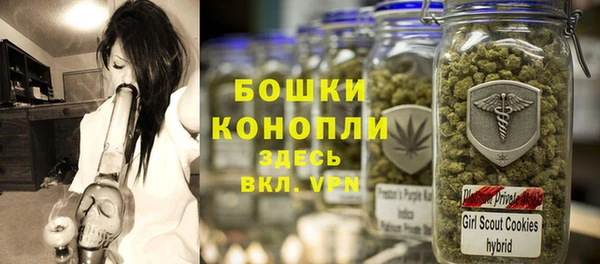 стаф Касимов