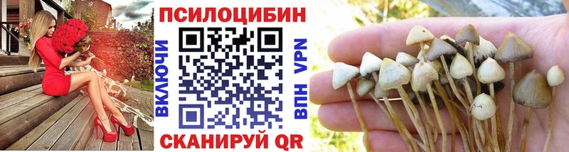 Галлюциногенные грибы прущие грибы  где купить наркоту  Северодвинск 