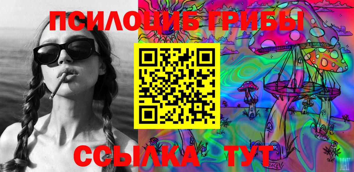 Псилоцибиновые грибы GOLDEN TEACHER Северодвинск