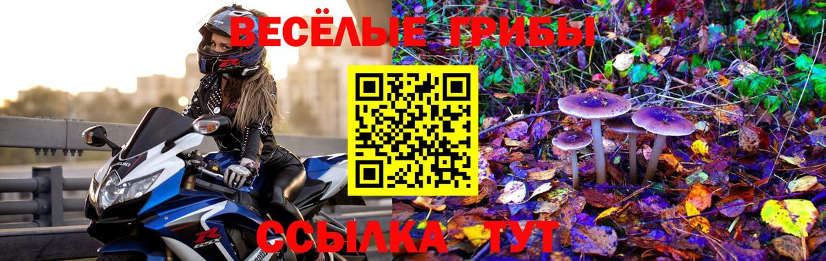 Северодвинск  Псилоцибиновые грибы GOLDEN TEACHER  Вход с VPN  Галлюциногенные грибы мухоморы 